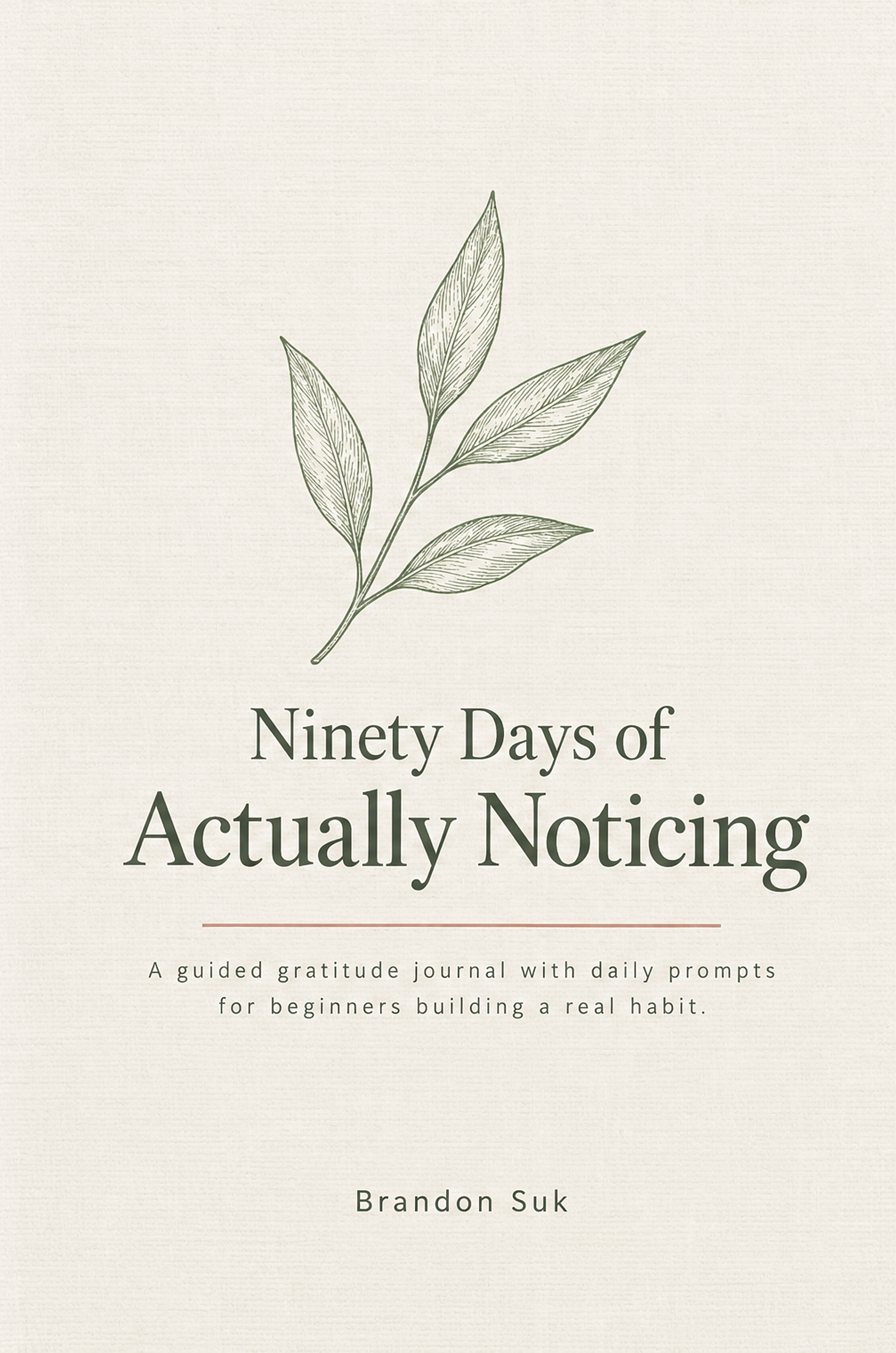 Cover of Ninety Days of Actually Noticing by Brandon Suk